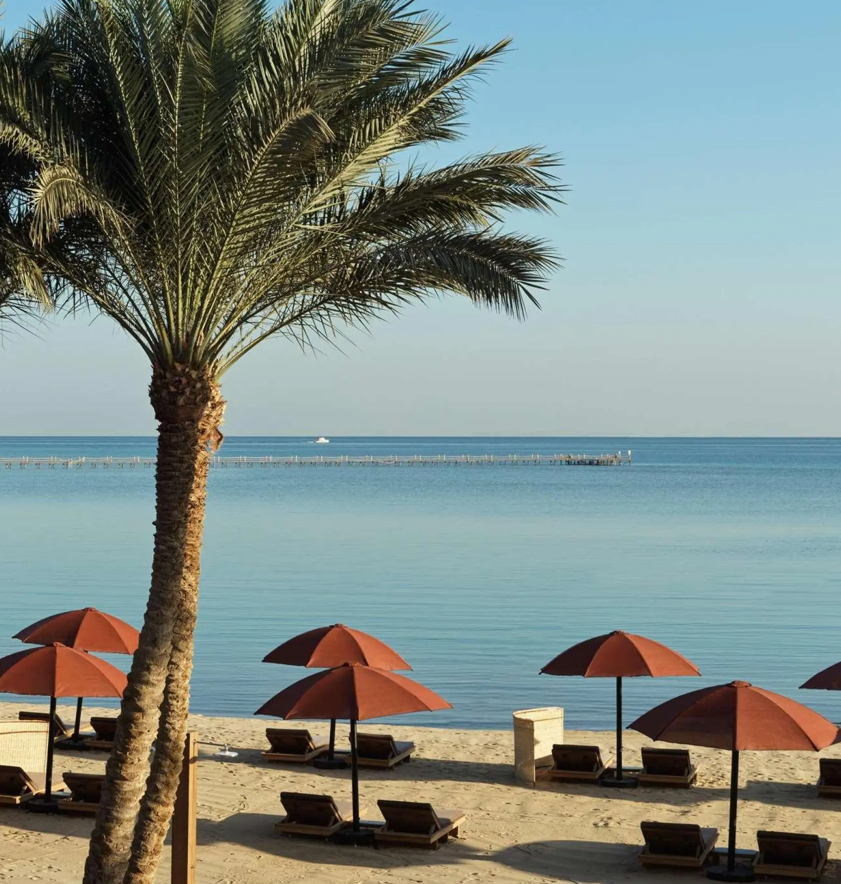 El Gouna web design and development in Egypt